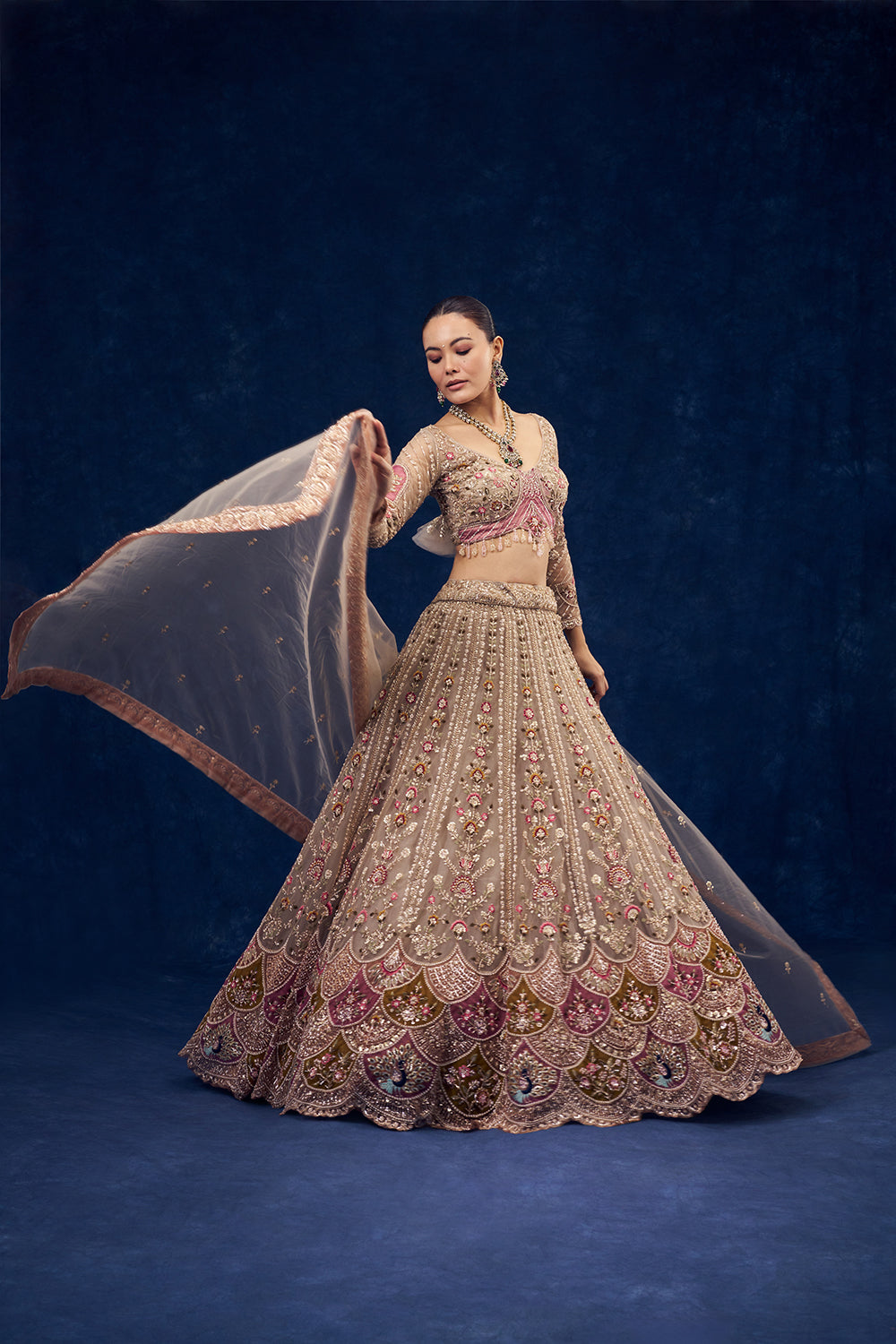 Beige Net Lehenga with Cutdana and Resham Embroidery