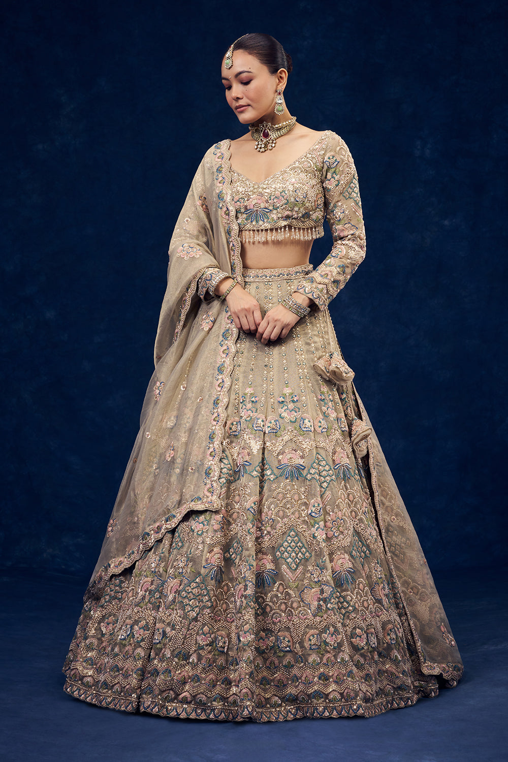 Beige Net Lehenga with Multicolour Resham Embroidery