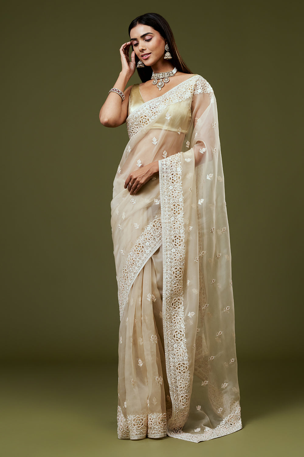 Beige Organza Saree with Resham Embroidery and Butti Work