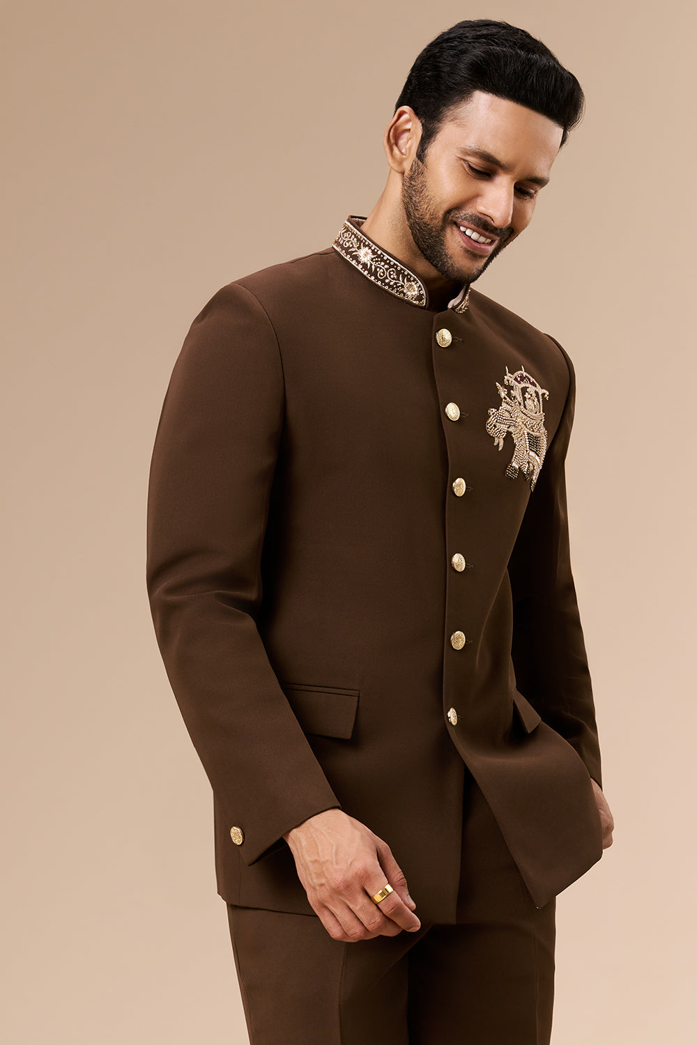 Chocolate Brown Georgette Jodhpuri with Cut Dana and Zari Elephant Motif