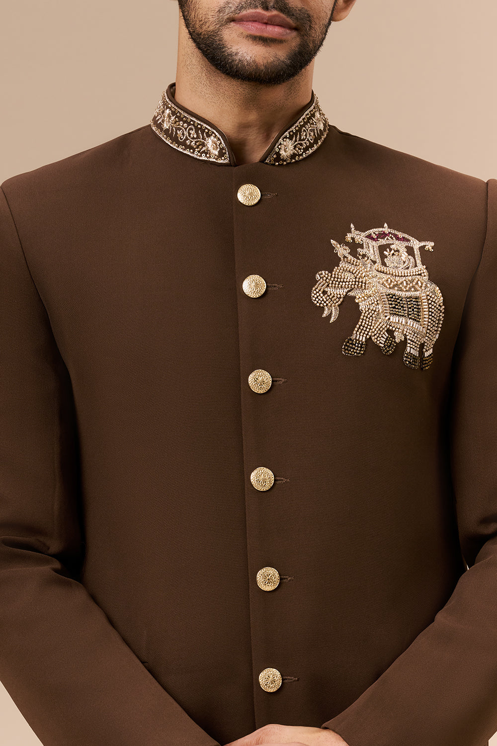 Chocolate Brown Georgette Jodhpuri with Cut Dana and Zari Elephant Motif
