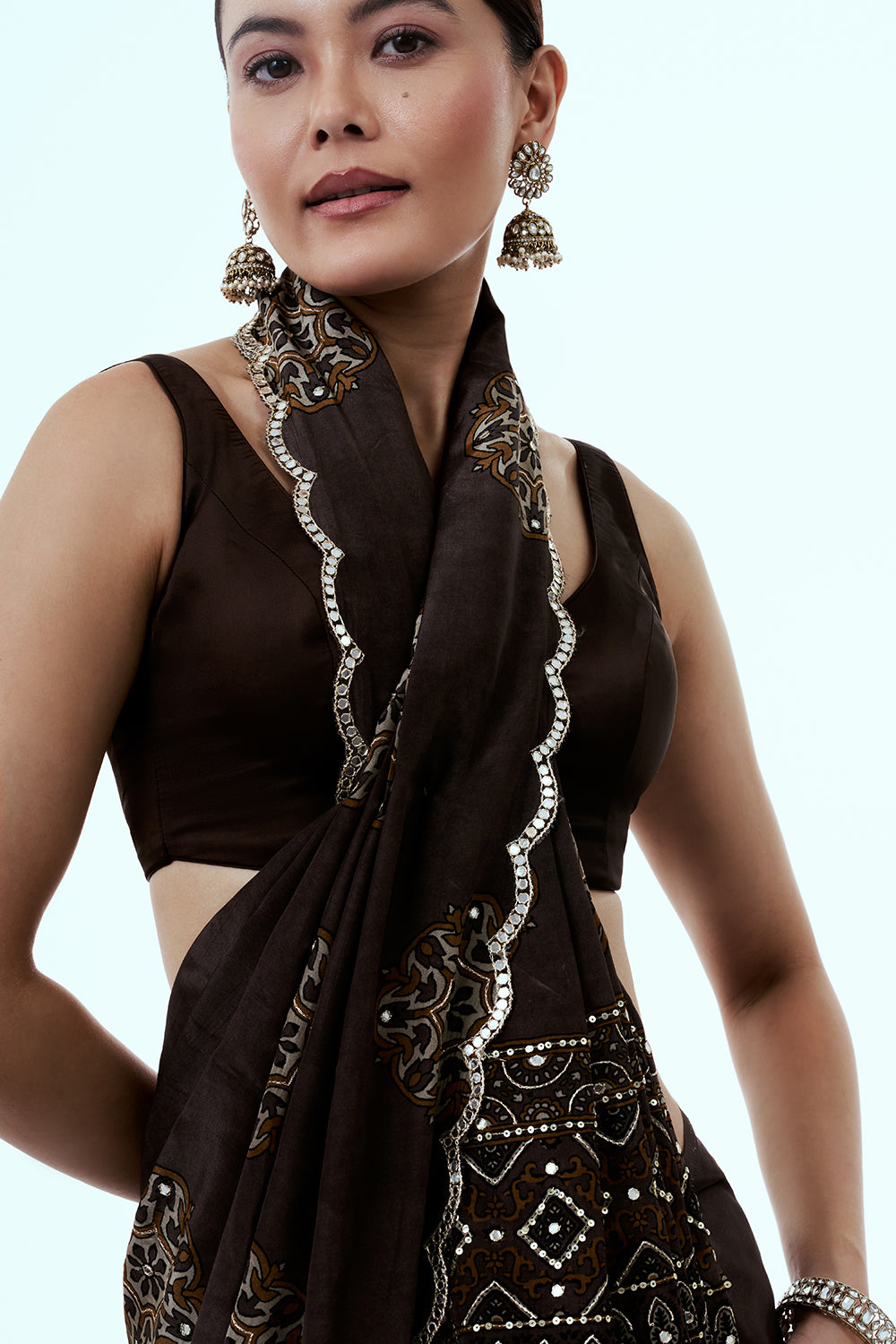 Coffee Brown Printed Crepe Saree with Mirror Work