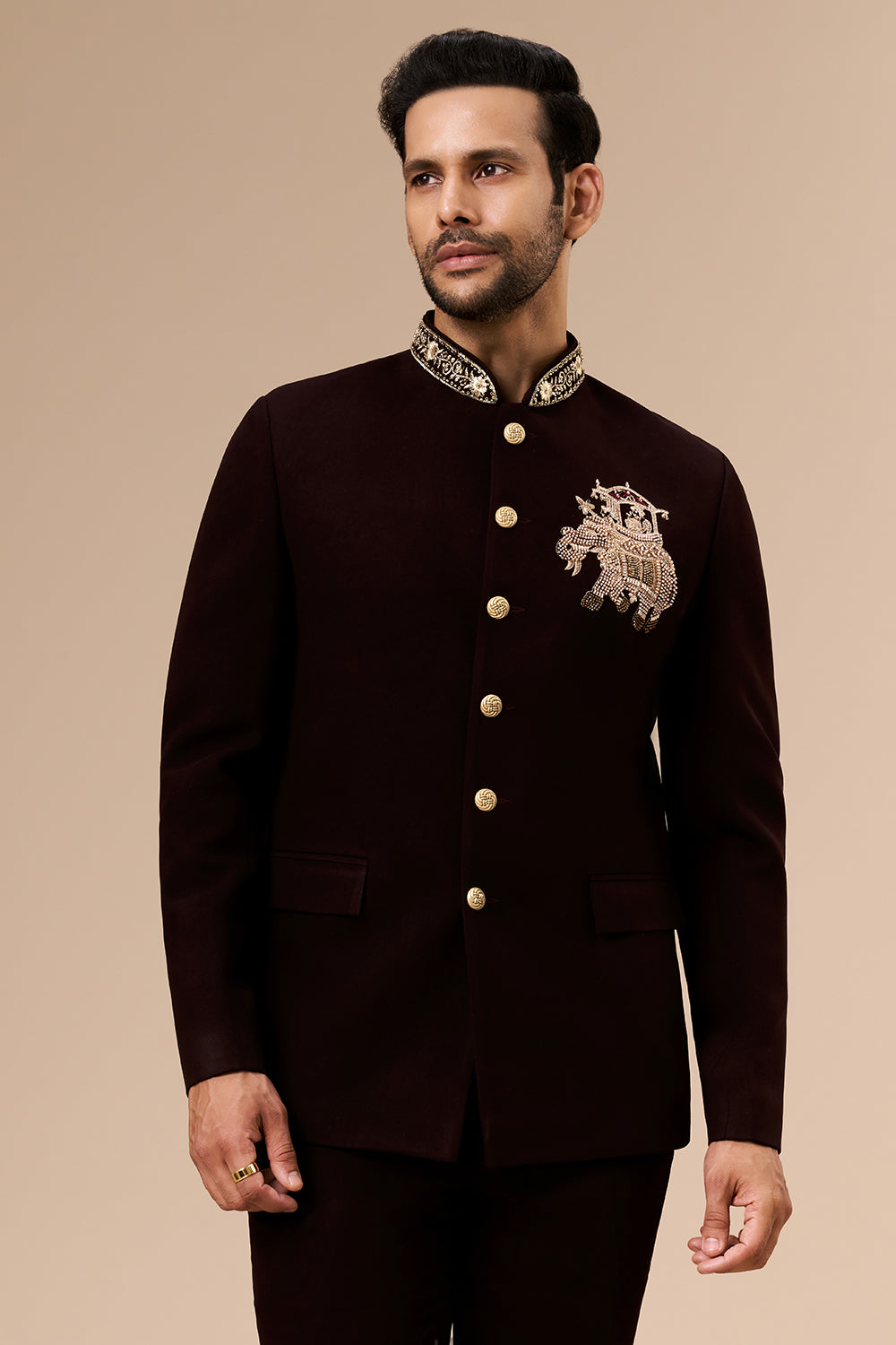 Deep Wine Georgette Jodhpuri with Cut Dana and Zari Elephant Motif