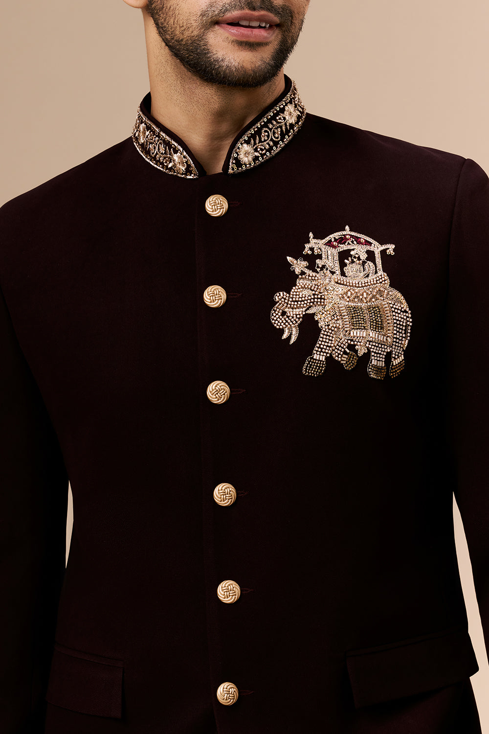 Deep Wine Georgette Jodhpuri with Cut Dana and Zari Elephant Motif