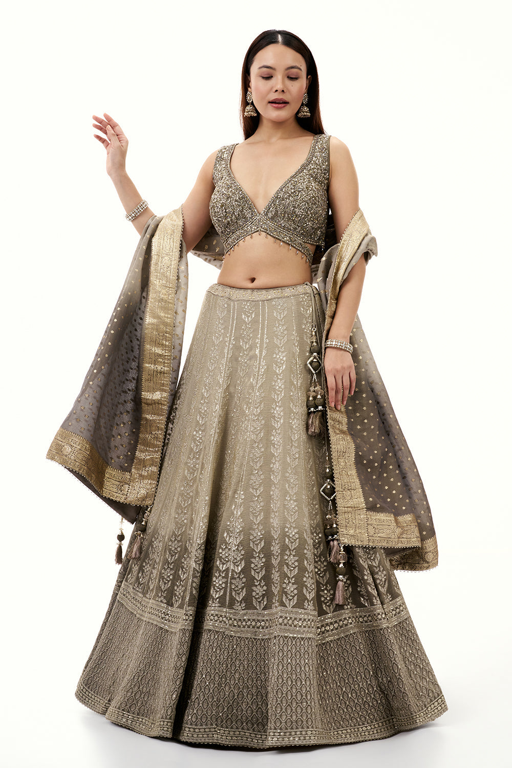 Grey Tissue Lehenga with Zari and Cutdana Work