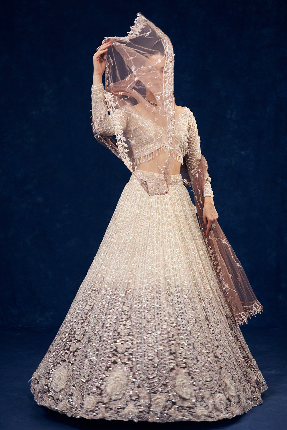 Ivory and Brown Ombre Ornate Net Lehenga with 3D Flowers