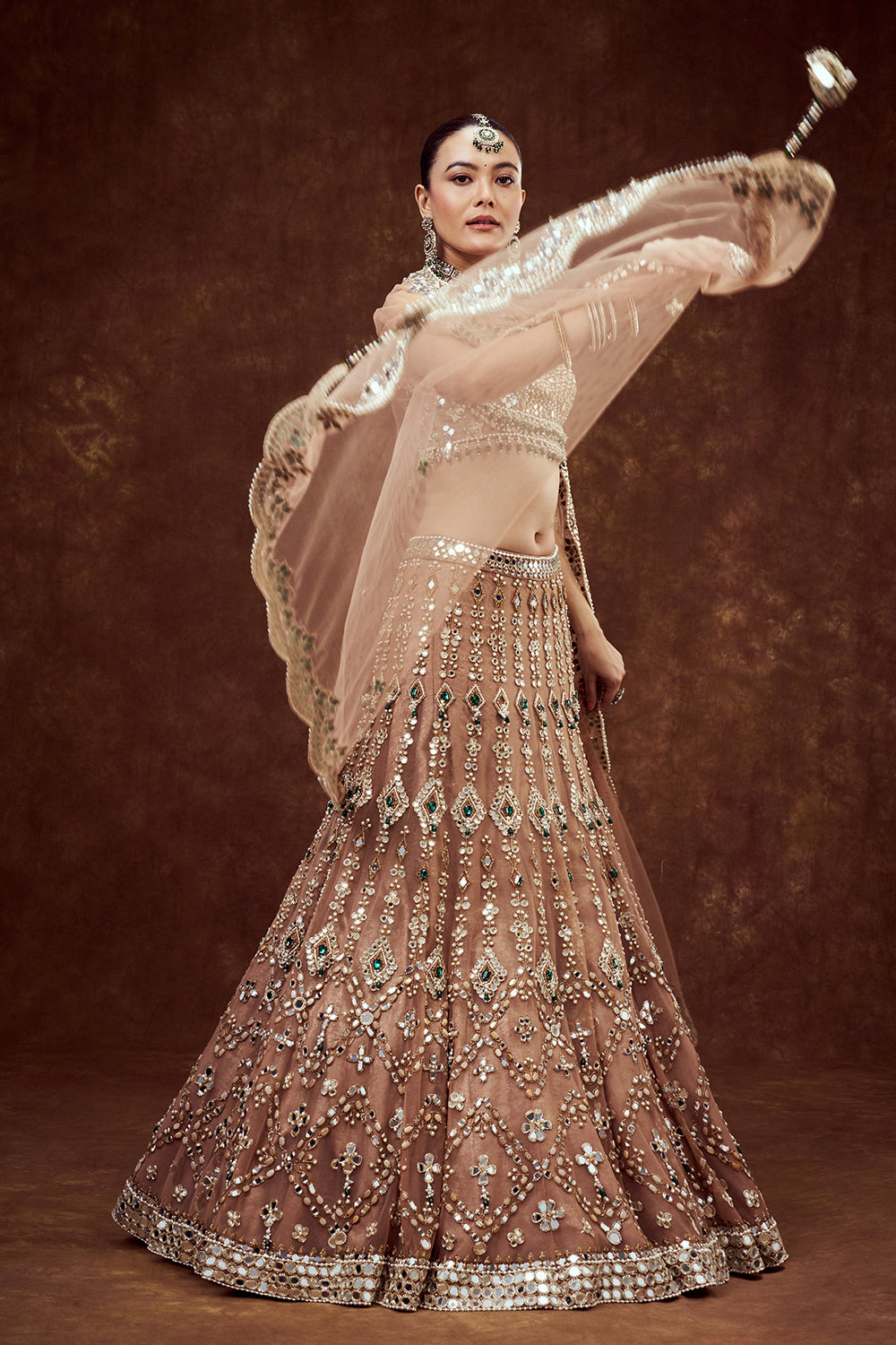 Light Gold Net Bridal Lehenga with Mirror Embroidery