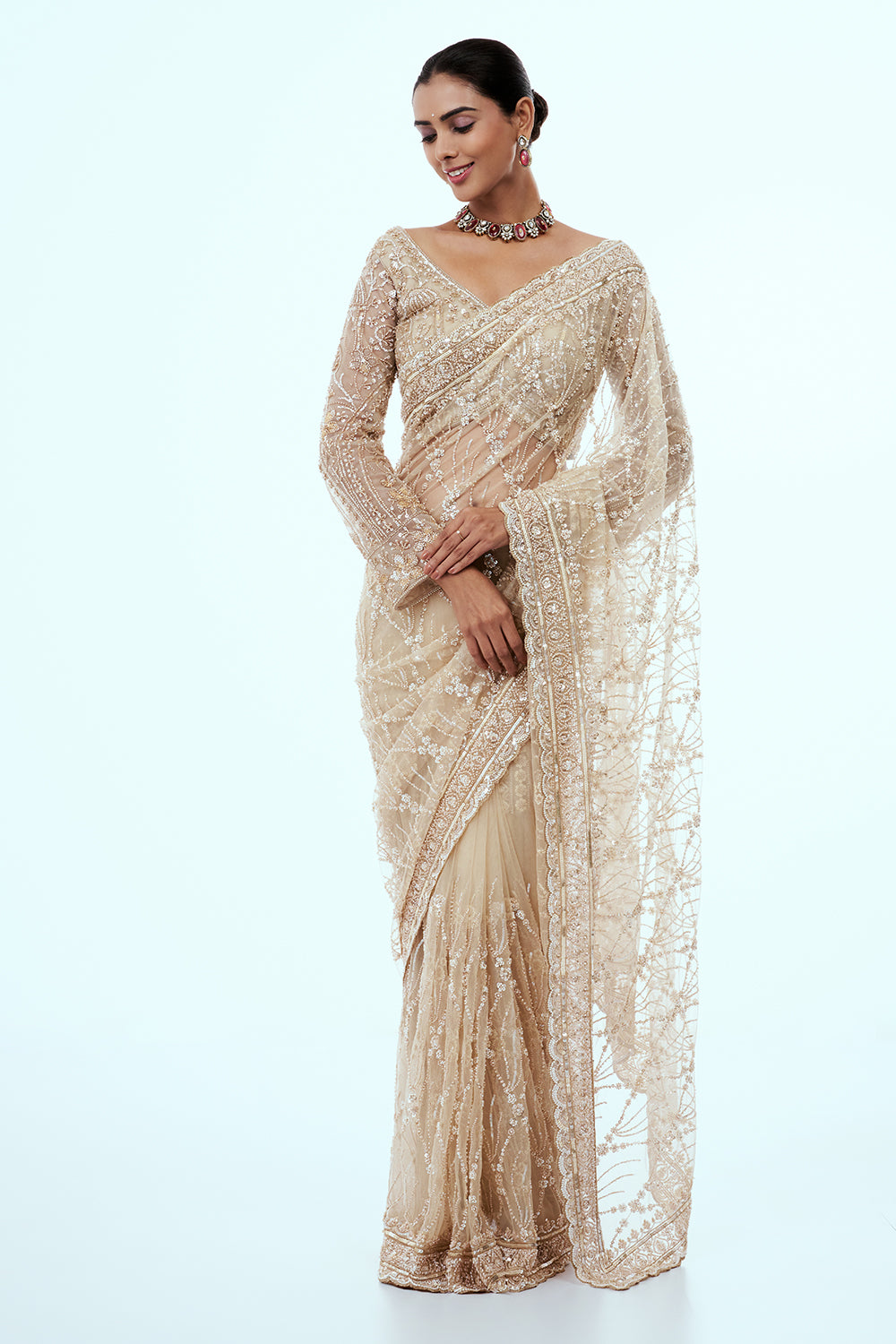 Light Gold Net Embellished Saree with Resham Work