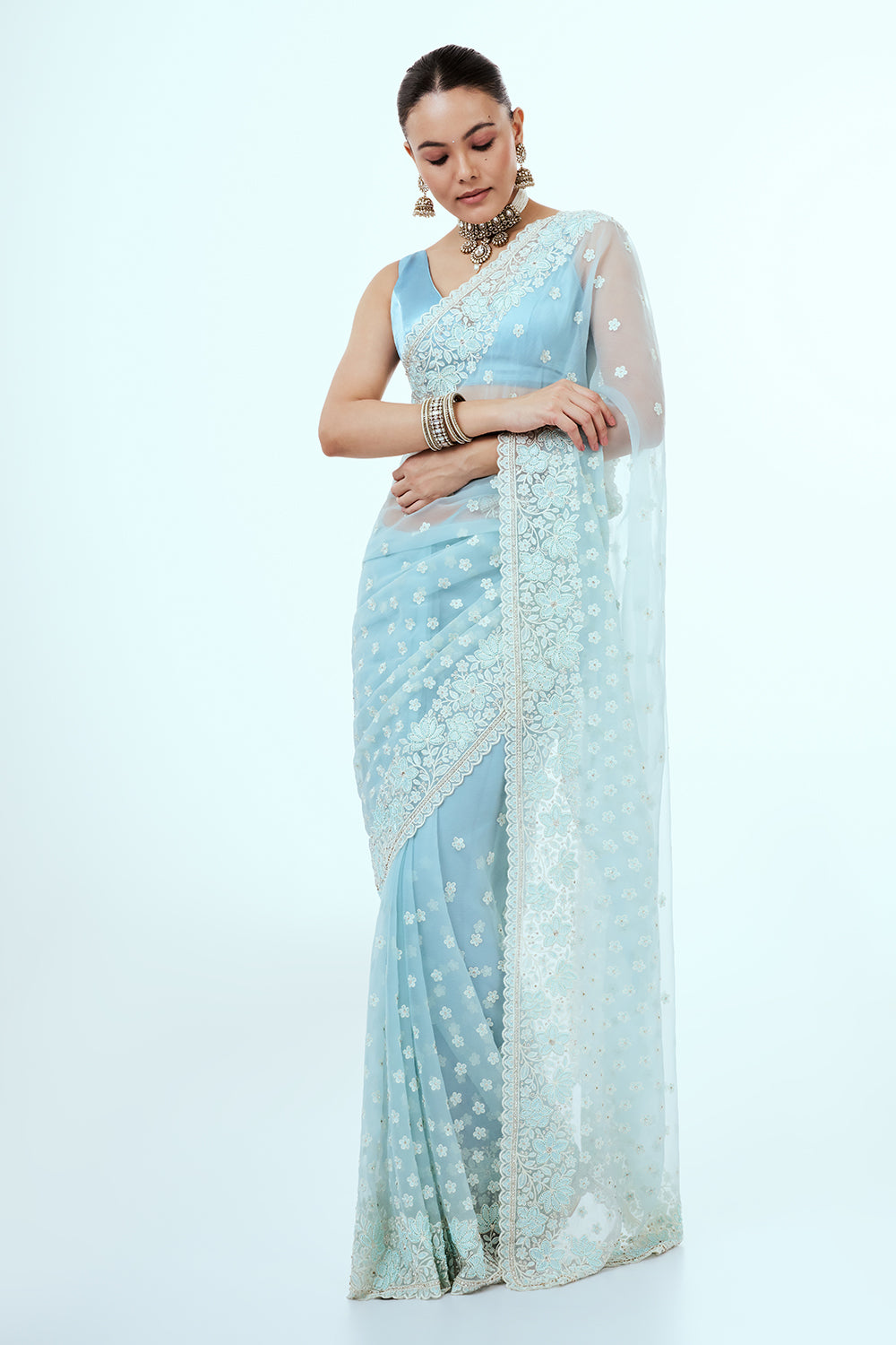 Powder Blue Glass Tissue Saree with Resham Embroidery