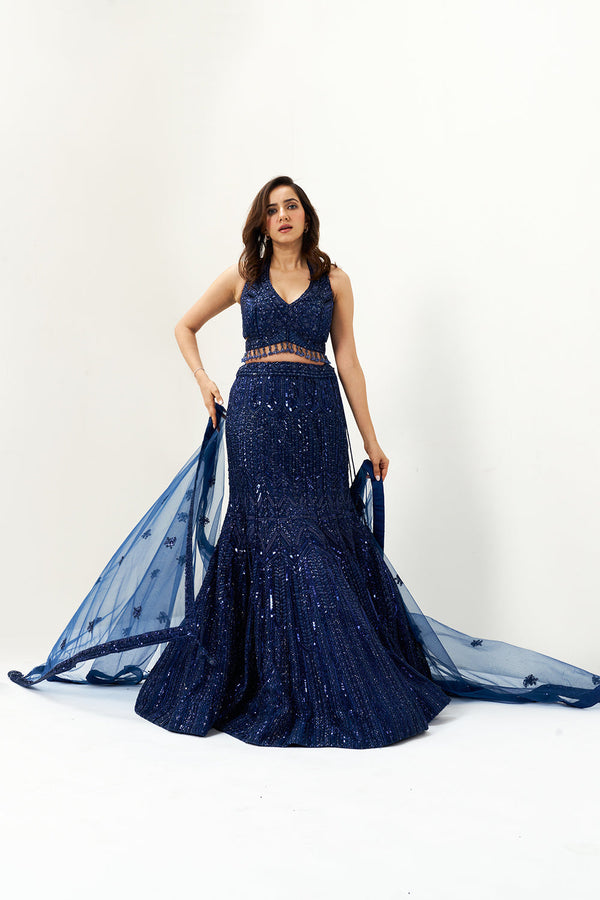 Navy Blue Embellished Net Festive Lehenga Set