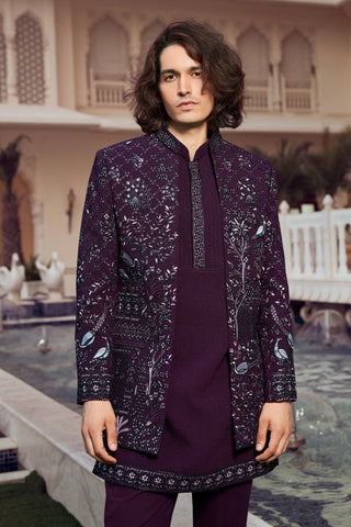 Wine Imported Indo Western With Sequins And Resham Embroidery