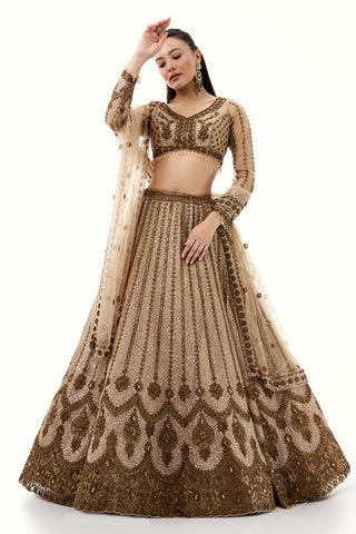 Beige Net Lehenga with Beads and Sequins Embroidery