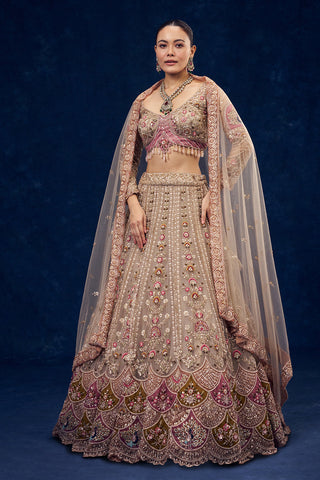 Beige Net Lehenga with Cutdana and Resham Embroidery