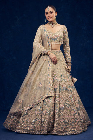 Beige Net Lehenga with Multicolour Resham Embroidery
