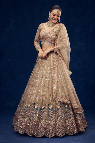 Beige Net Lehenga with Sequins and Resham Embroidery