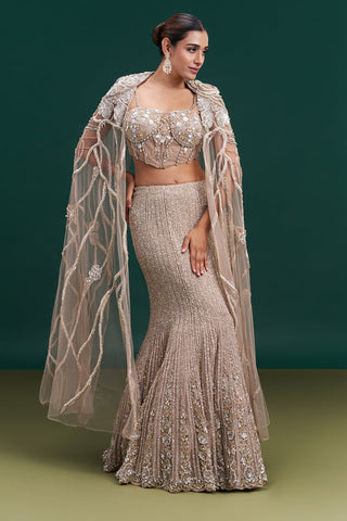 Champagne Gold Net Bridal Lehenga with Vine Embroidery and Statement Cape