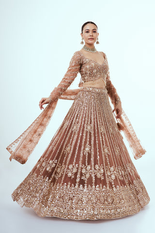 Champagne Net Lehenga with Sequins and Cutdana Hand Work