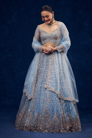 Dusty Blue Net Lehenga with Cutdana and Pearl Hand Work