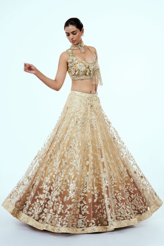 Gold Net Lehenga with 3D Flower Work