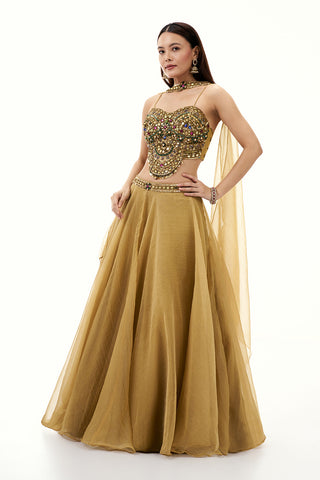 Golden Tissue Organza Lehenga with Mirror and Zari Work
