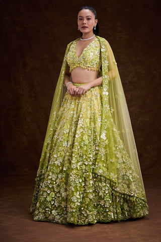 Green Ombré Net Bridal Lehenga with 3D Floral Embellishments