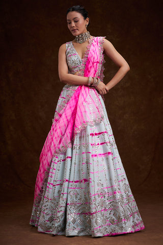 Grey and Rani Raw Silk Contemporary Lehenga with Resham and Mirror Work