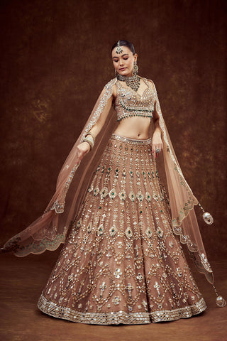 Light Gold Net Bridal Lehenga with Mirror Embroidery