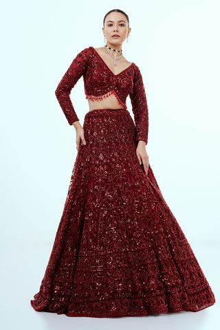 Maroon Net Lehenga with Sequins and Cutdana Hand Work