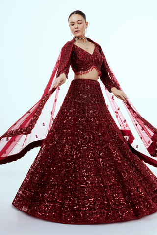 Maroon Net Lehenga with Sequins and Cutdana Hand Work