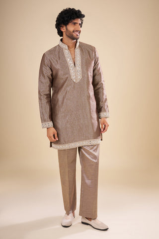 Metallic Taupe Silk Kurta Set with Resham Embroidery