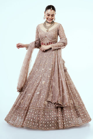 Mousse Brown Hand Embroidered Net Lehenga with Cutdana Work