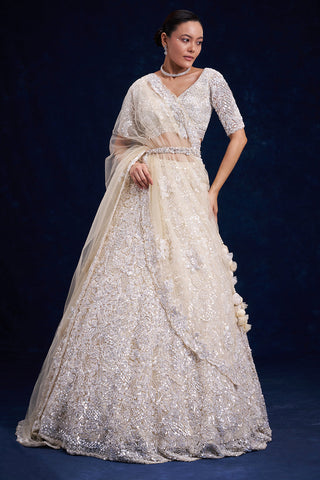 Off-White Net Bridal Lehenga with Cutdana Work