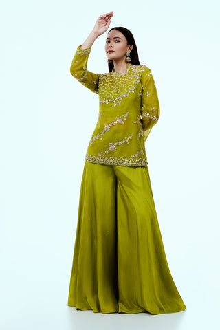 Parrot Green Uppada Silk Suit Set with Zardosi Work