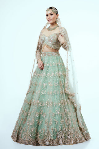 Pastel Green Hand Embroidered Net Lehenga with Cutdana Work