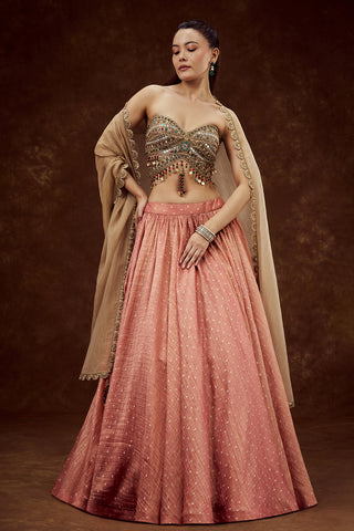 Peach Tissue Lehenga with Mirror and Tassel Work