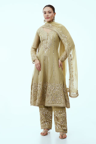 Pista Green Tissue Anarkali Suit with Mirror Work