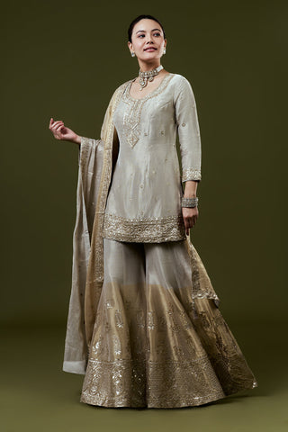 Silver Grey Shimmer Tissue Palazzo Set with Sequin and Cutdana Work