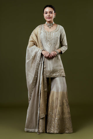 Silver Grey Shimmer Tissue Palazzo Set with Sequin and Cutdana Work