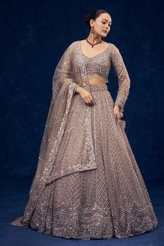 Taupe Grey Hand Embroidered Net Lehenga with Sequin Work